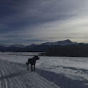 Meet your Posher, Evan